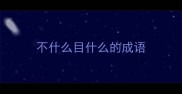 不什么目什么的成语