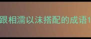 跟相濡以沫搭配的成语