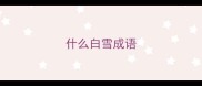 什么白雪成语