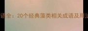 藻字成语全20个经典藻类相关成语及用法指南