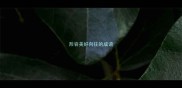 形容美好向往的成语