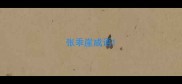 张乖崖成语