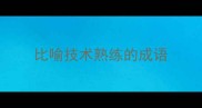 比喻技术熟练的成语