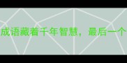 地字成语大这10个四字成语藏着千年智慧最后一个太冷门了成语文化科普