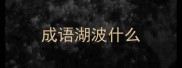 成语湖波什么