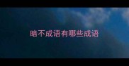 暗不成语有哪些成语