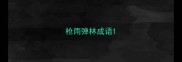 枪雨弹林成语
