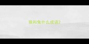 狼和兔什么成语