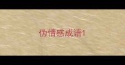 伪情感成语