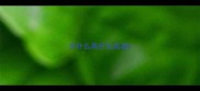 羊什么高什么成语