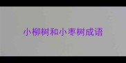 小柳树和小枣树成语