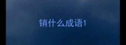 销什么成语