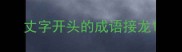 丈字开头的成语接龙