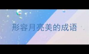 形容月亮美的成语