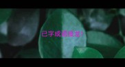 已字成语接龙