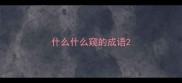 什么什么窥的成语