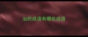 治的成语有哪些成语