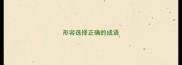 形容选择正确的成语