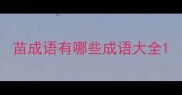 苗成语有哪些成语大全