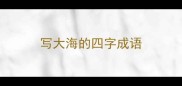 写大海的四字成语