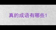 真的成语有哪些