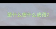 望什么德什么成语