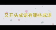又开头成语有哪些成语
