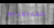物什么富什么成语