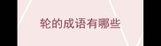轮的成语有哪些