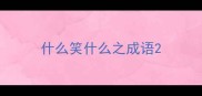 什么笑什么之成语