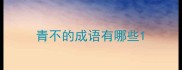 青不的成语有哪些