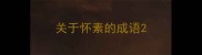 关于怀素的成语