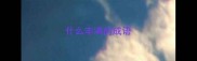 什么丰满的成语
