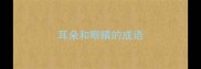 耳朵和眼睛的成语