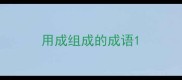 用成组成的成语