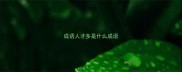 成语人才多是什么成语