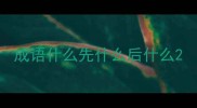 成语什么先什么后什么