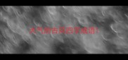 大气的古风四字成语