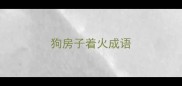 狗房子着火成语