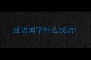 成语国字什么成语