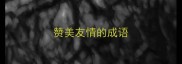 赞美友情的成语