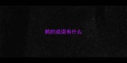 鹤的成语有什么