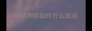 成语狗眼始终什么成语