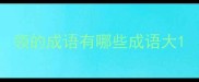 领的成语有哪些成语大