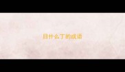 目什么丁的成语