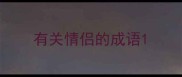 有关情侣的成语