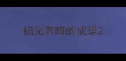 韬光养晦的成语