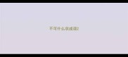 不可什么状成语