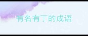 有名有丁的成语