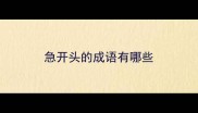 急开头的成语有哪些